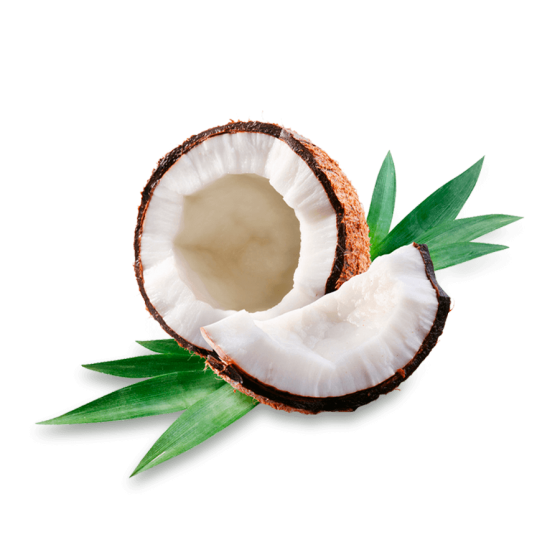 Coconut