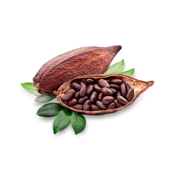 Cocoa Beans